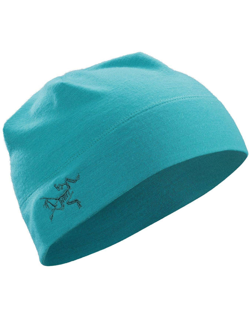 Load image into Gallery viewer, Rho LTW Beanie
